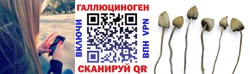 Псилоцибиновые грибы мицелий  хочу   мега рабочий сайт  Пучеж 